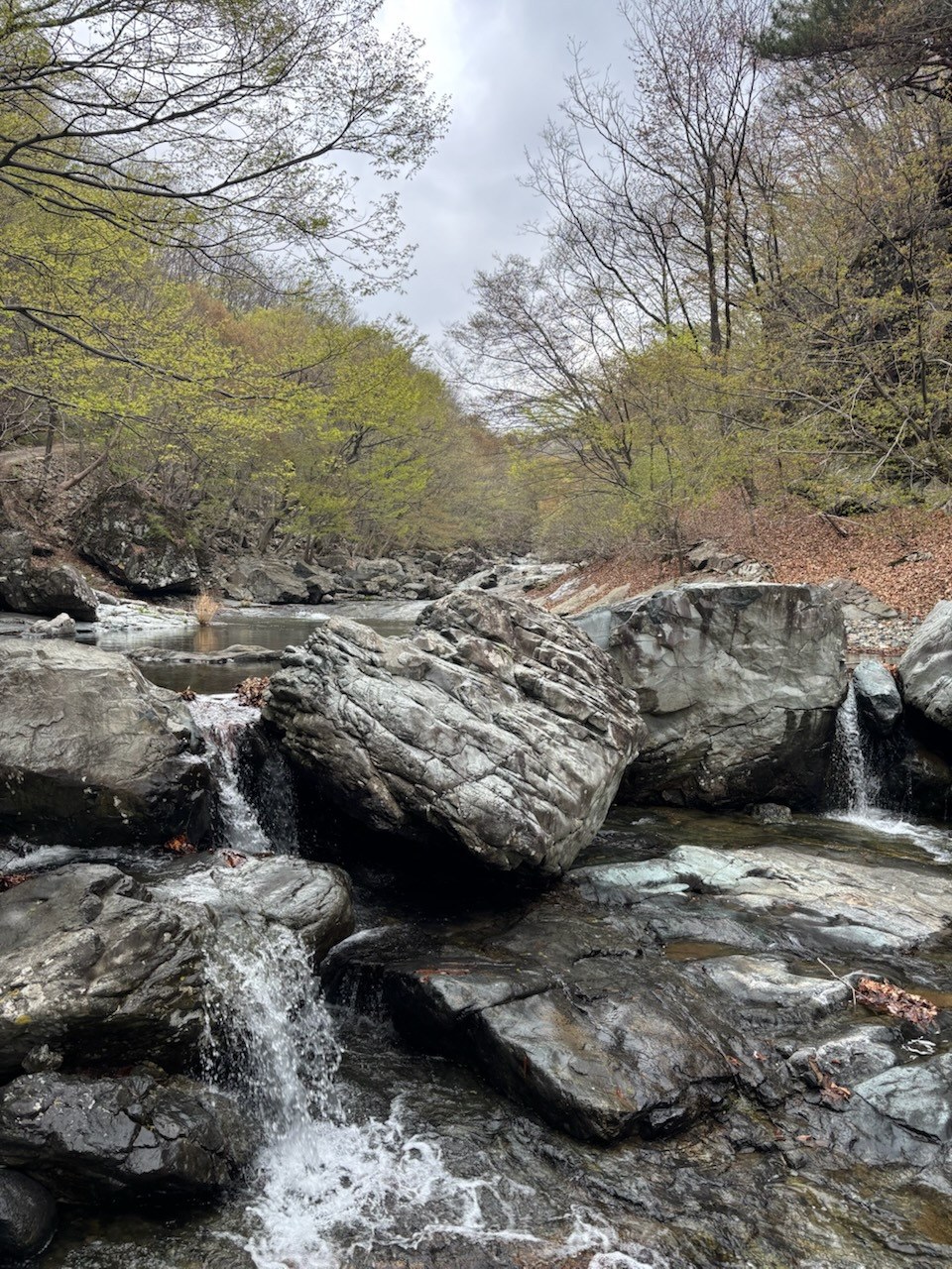 계절 풍경 사진 3